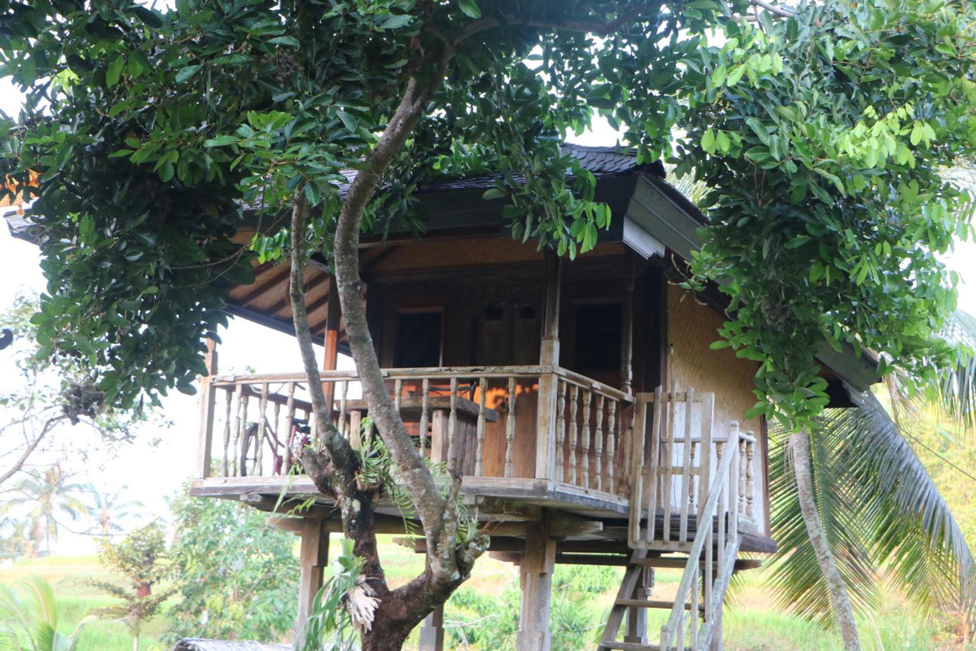 Mesari Cottage Guest House Pabean Buleleng Exterior foto